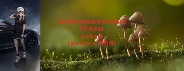 ALPHA-PVP Володарск